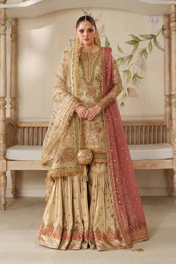 EMBROIDERED NET BAROUQE pakistani fashion outfit with coordinated…